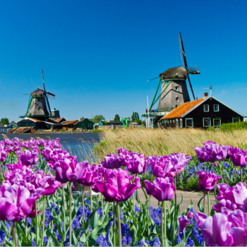 China-Netherlands, by Sea